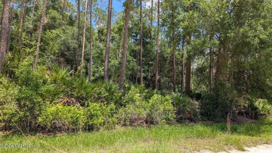 301 Whispering Pines Rd, Georgetown, Florida 32139, USA