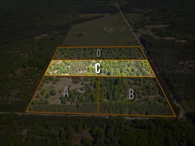 V/L Niemi Road Parcel C, Kaleva, Michigan 49645, Estados Unidos