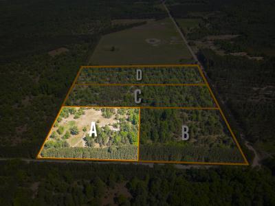 V/L Makenin Road Parcel A, Kaleva, Michigan 49645, Estados Unidos