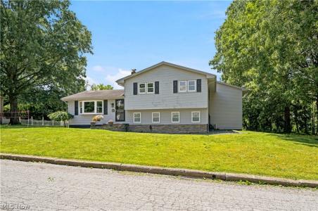 273 Blueberry Drive, Columbiana, 俄亥俄州 44408, 美国