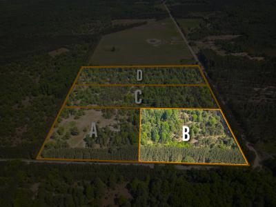 V/L Makenin Road Parcel B, Kaleva, Michigan 49645, Estados Unidos