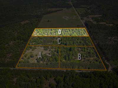 V/L Niemi Road Parcel D, Kaleva, Michigan 49645, Estados Unidos
