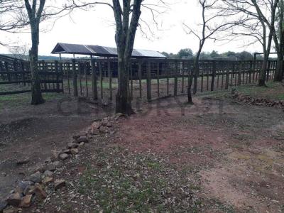 San Pedro del Paraná, Itapúa 00001, Paraguay