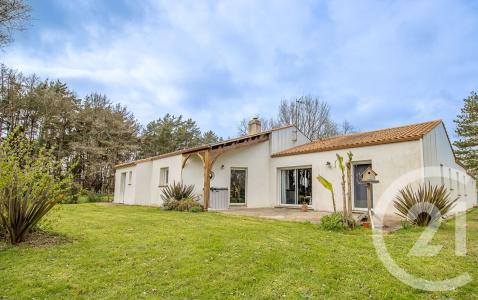 Chateauneuf, Pays De La Loire 85710, Frankreich