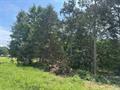 2.75 Acres CR 2141, Hartman, Arkansas 72832, États-Unis