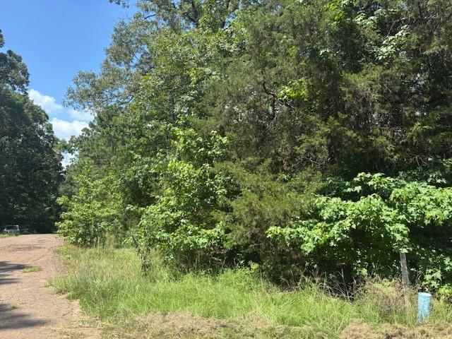 TBD Croton Ln, Mount Vernon, טקסס 75457, ארצות הברית של אמריקה