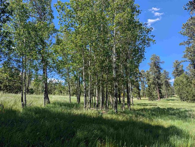 Lot 24 Rochford Road, Lead, جنوب داكوتا 57754, الولايات المتحدة