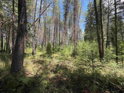 NNA 46 Ares Way, Priest River, Idaho 83864, États-Unis