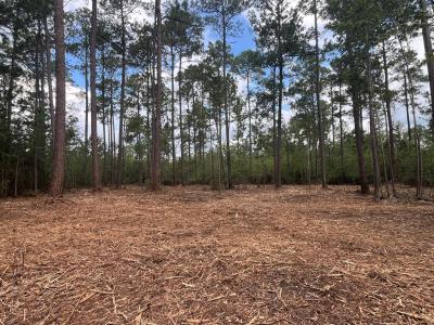 00 Sanford Road (3 Acres), Thomasville, 乔治亚州 31757, 美国