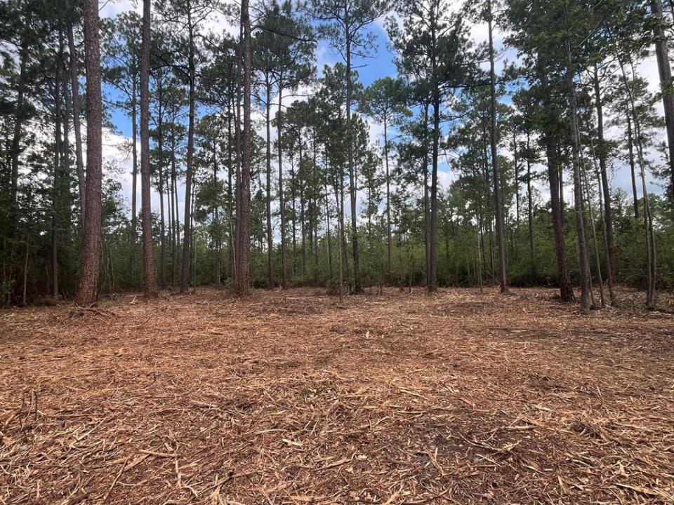 00 Sanford Road (3 Acres), Thomasville, 乔治亚州 31757, 美国