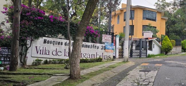 11352  Bosques de Fontainebleau ,, Naucalpan, ولاية مكسيكو 53297, المكسيك