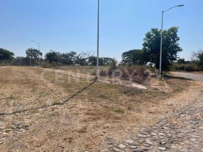 Damiana Cisneros Lote 5 manzana 115,, Comala, Colima 28450, Mexique