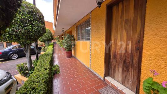 Mimosa 89 A,, Alvaro Obregón, Ciudad De México 01780, Meksyk