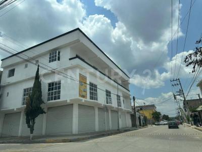 San Mateo Atenco, État De Mexico 52100, Mexique