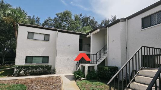 700 Starkey Rd. #1224, Largo, Flórida 33771, Estados Unidos