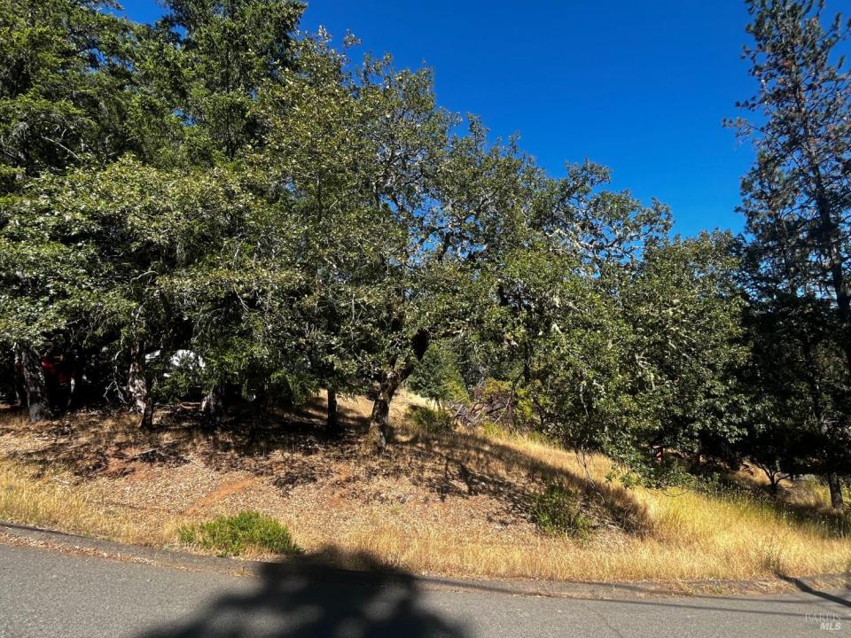 1721 Crawford Drive, Willits, 캘리포니아 95490, 미국