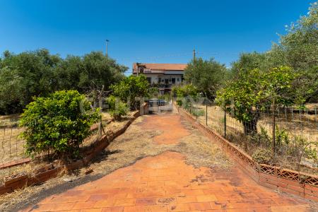 Via Piano del Conte, Mascalucia, Sicilia 95030, Italie
