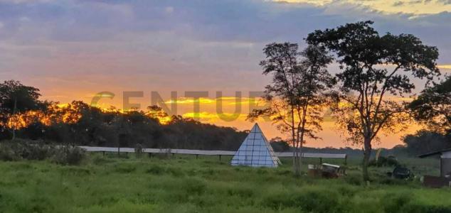 Sur, Santa Cruz 00001, Bolivia