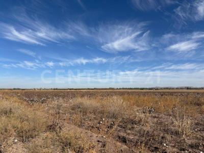 Delicias, Chihuahua 33100, Mexique
