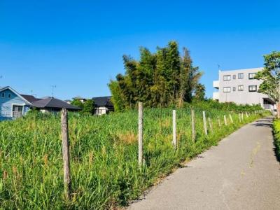 源町, 千葉市若葉区源町売地, 千葉市若葉区, Chiba 264-0037, Japan