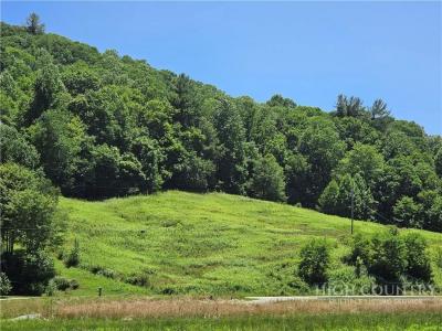 Elk River Road lot: 12, Elk Park, North Carolina 28622, USA