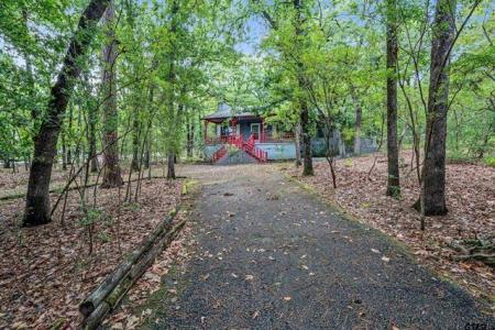 224 Blue Bird Ln, Holly Lake Ranch, Texas 75765, Estados Unidos