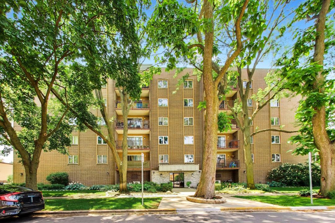 1365 Ashland Ave, Des Plaines, Illinois 60016, Stati Uniti