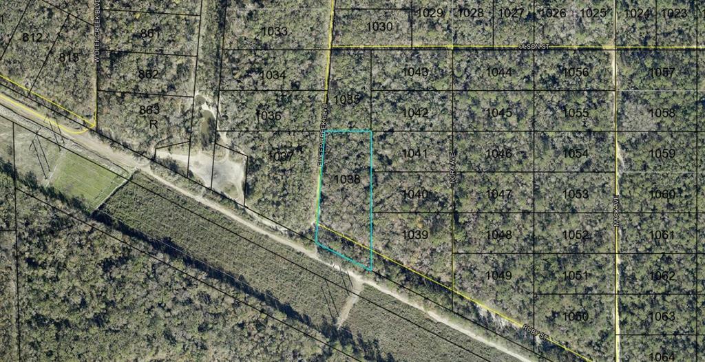 E Deep Creek, Hastings, فلوريدا 32145, الولايات المتحدة