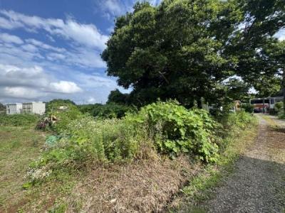 根木名, 富里市根木名　土地, 富里市, Тиба 286-0205, Япония
