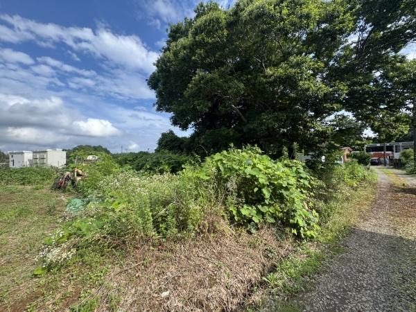 根木名, 富里市根木名 土地, 富里市, Chiba 286-0205, Japon