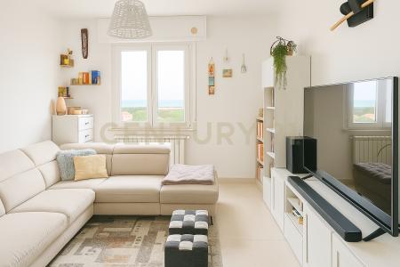 Viale Regina Margherita, Piombino, Toscana 57025, Italy