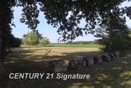 N Juddville, New Lothrop, Michigan 48460, USA