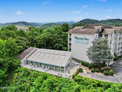 205 Ogle Drive, Pigeon Forge, Tennessee 37863, USA