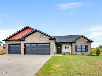 3019 Sawgrass Drive, Jonesborough, Tennessee 37659, Stati Uniti