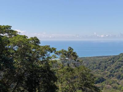 Dominical Osa, Puntarenas 60504, Costa Rica