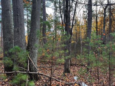 Moss Lake Dr , Lac Du Flambeau, Wisconsin 54538, États-Unis
