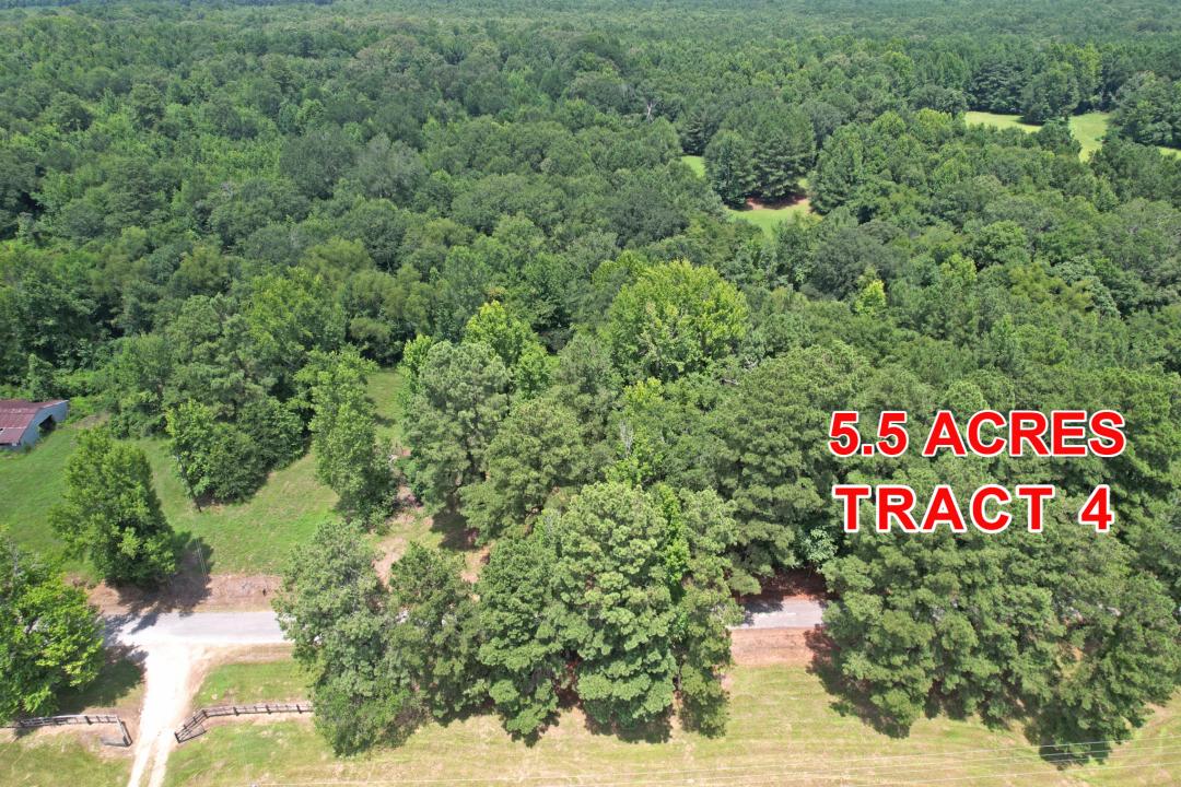 Tract 4 County Road 3117, Clarksville, Texas 75426, USA