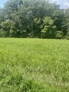 0 Summerlake Ct, Lot 4, Winchester, Tennessee 37398, USA