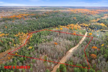 V/L Glenrose Drive 20 Acres m/l, Wolverine, Michigan 49799, USA