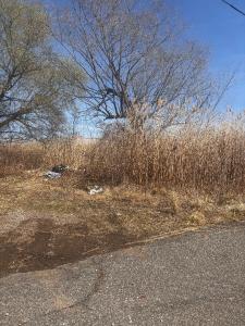 0 Kissam Ave, Staten Island, New York 10306, USA