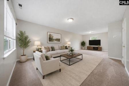 305 Cutter Court, Chapin, Caroline Du Sud 29036, États-Unis