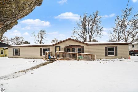 147 E Elm Street, Elsie, Michigan 48831, USA