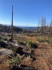45 Fox Hill, Bryc, California 95916, USA