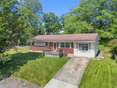 1705 Mary Ellen Drive, flatwoods, Kentucky 41139, USA