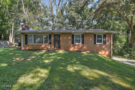 119 Lynnwood Drive, Gray, Tennessee 37615, États-Unis