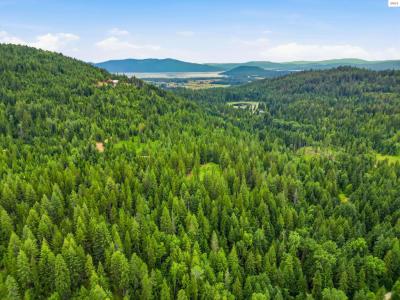 217 Whodathunkit Rd, Sandpoint, Idaho 83864, États-Unis