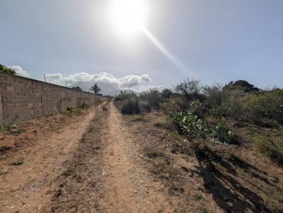 la estrella terreno al lado de parque el agua, La Plaza De Paraguachí, Nueva Esparta 6301, Venezuela