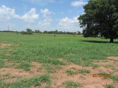 Lot 12 S hummingbird, Stillwater, Oklahoma 74074, USA