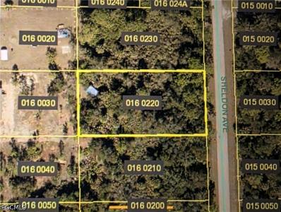 919 Sheldon Avenue, Lehigh Acres, Florida 33936, USA