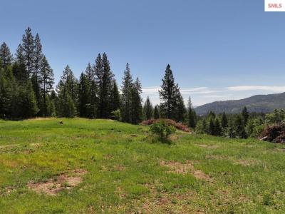 560 Terry Trail, Priest River, Idaho 83856, États-Unis